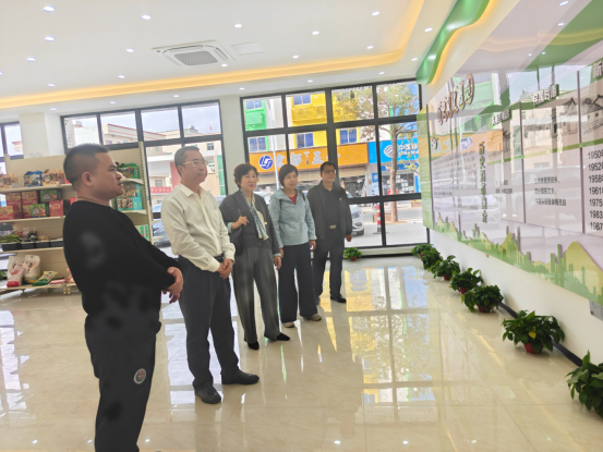 市委台办深入吴川市樟铺镇调研乡村振兴工作并开展慰问236